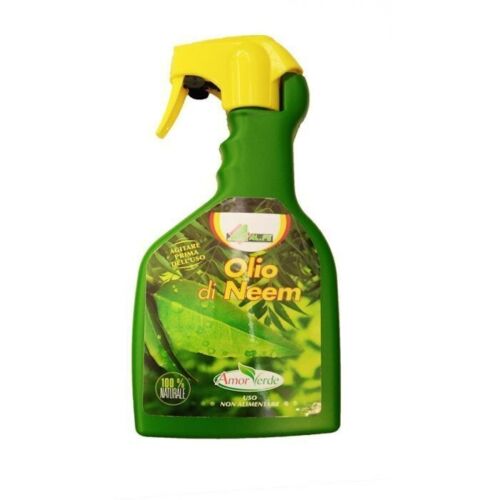 Olio di neem arca Perugia